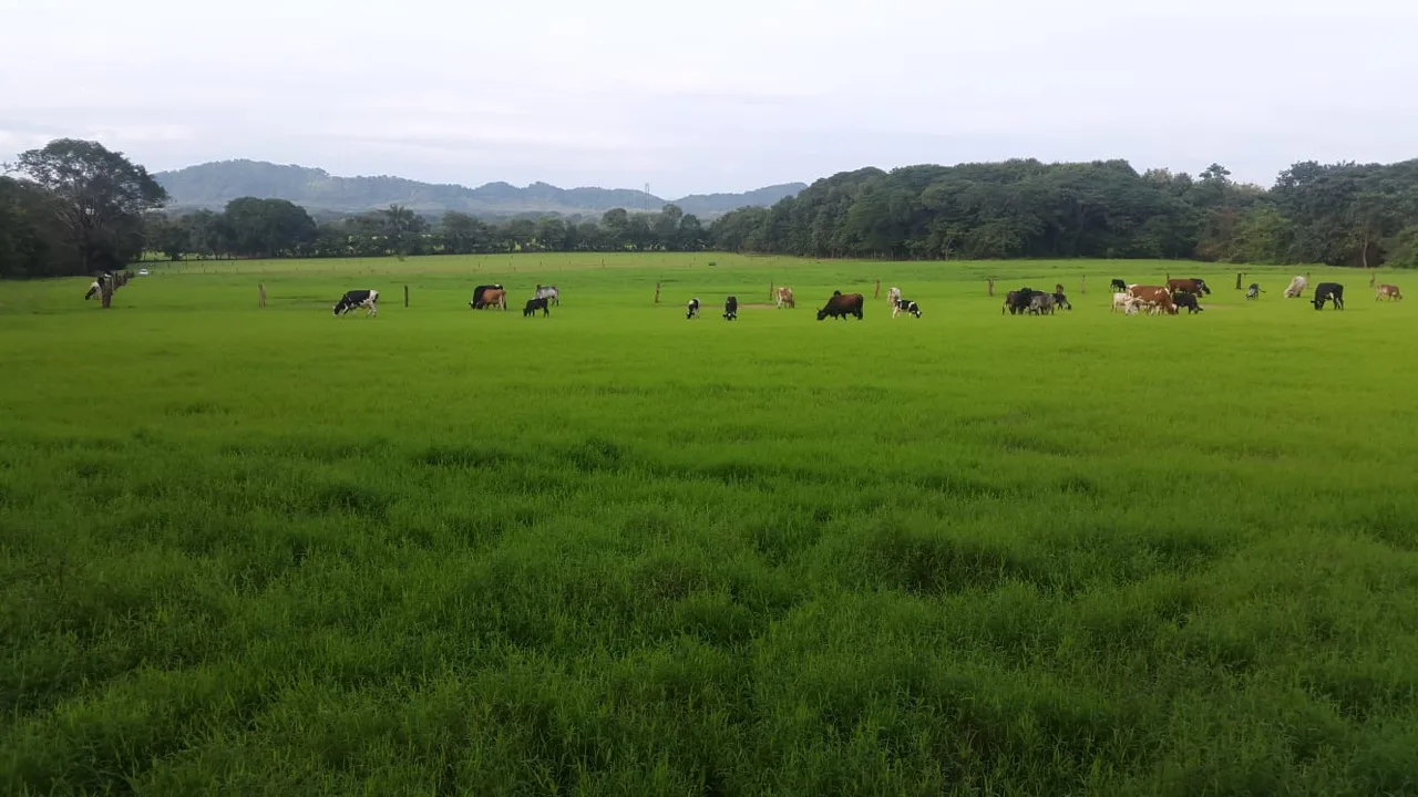 Beautiful Nature Estate, Nandayure Blue Zone