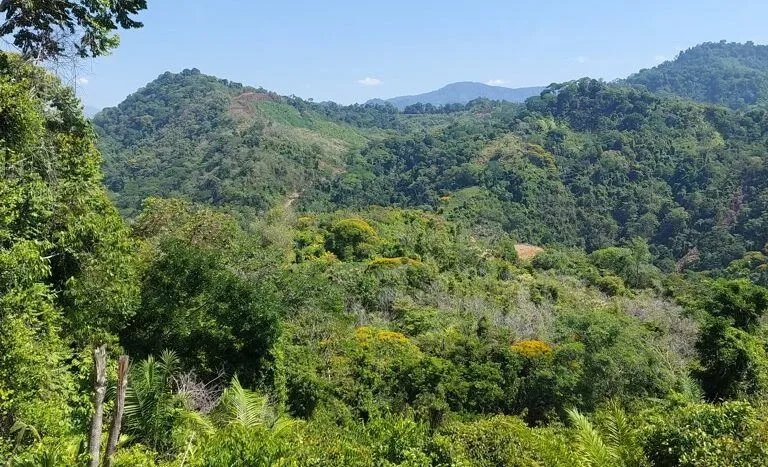 Peaceful Countryside Paradise at an Unbeatable Price