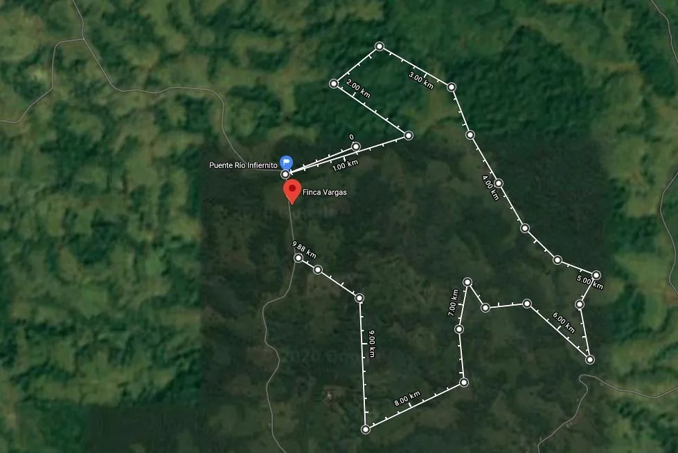 120-Hectare Farm for Sale – San Joaquín de Cutris, San Carlos, Costa Rica