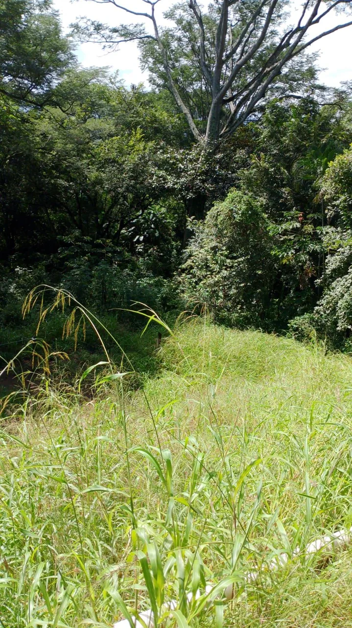 Large mixed use 22,346m2 lot close to the new and old highways
