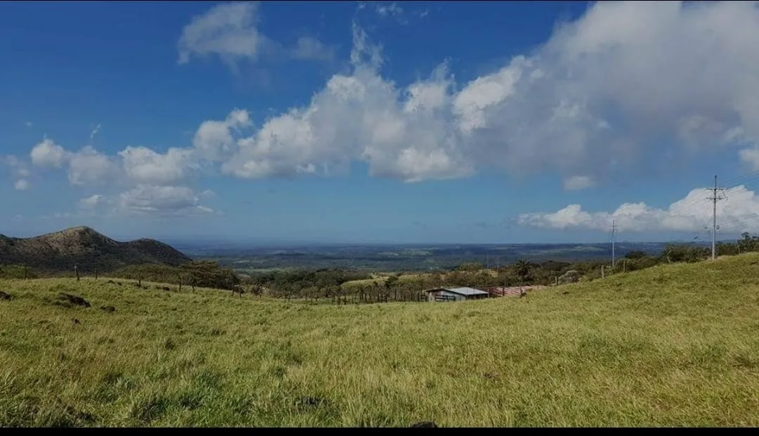 La Giganta farm