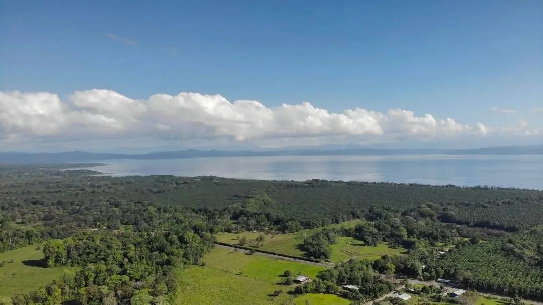 Land for Sale in Cañaza Costa Rica – Near Corcovado