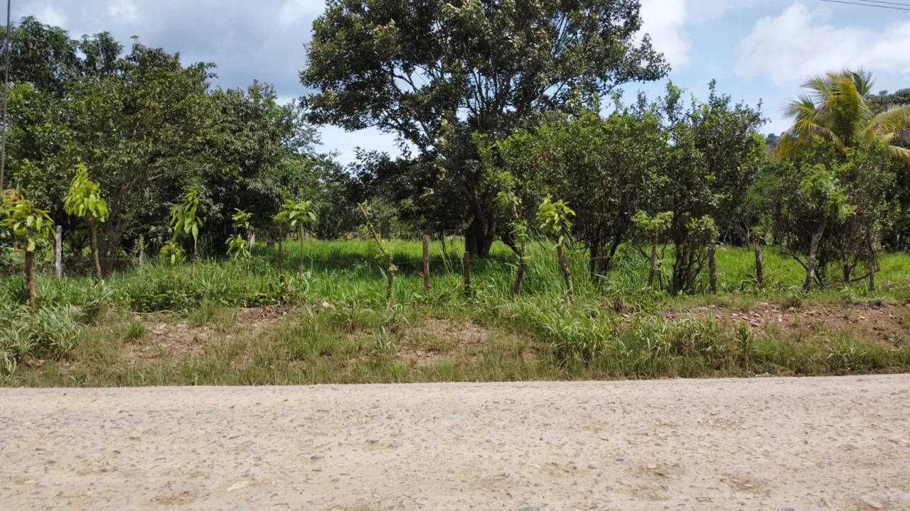 For Sale: Unique Opportunity: 3,497 M² Of Completely Flat And Fertile Land