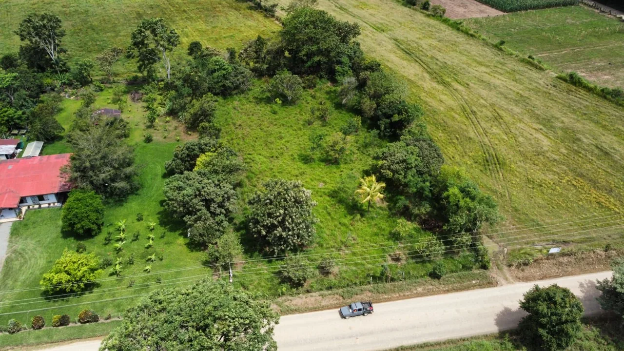 For Sale: Unique Opportunity: 3,497 M² Of Completely Flat And Fertile Land — photo 4