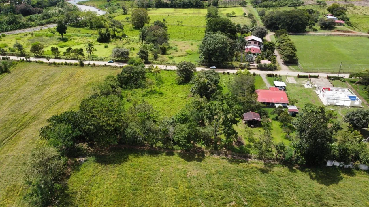 For Sale: Unique Opportunity: 3,497 M² Of Completely Flat And Fertile Land — photo 5