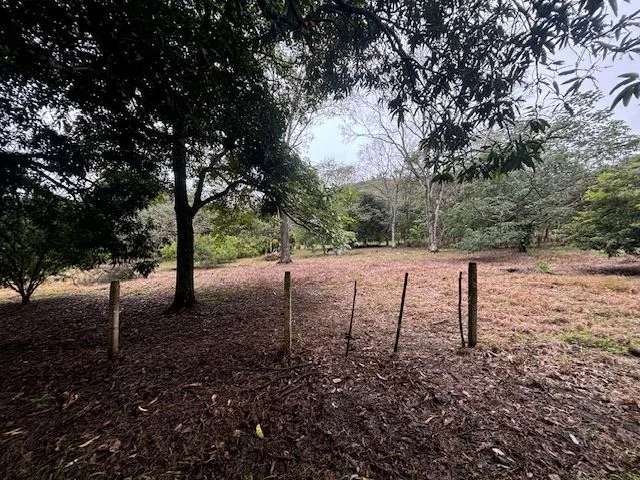 All usable 2195 (1/2 acre) in developing area just 5 minutes from town