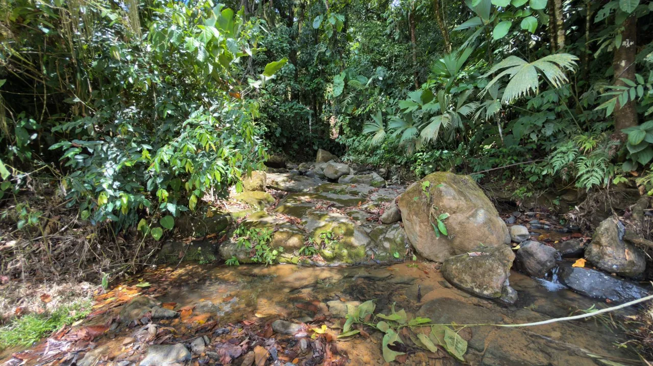 Stunning 38 Hectares Land for Sale Perez Zeledon Costa Rica — photo 2