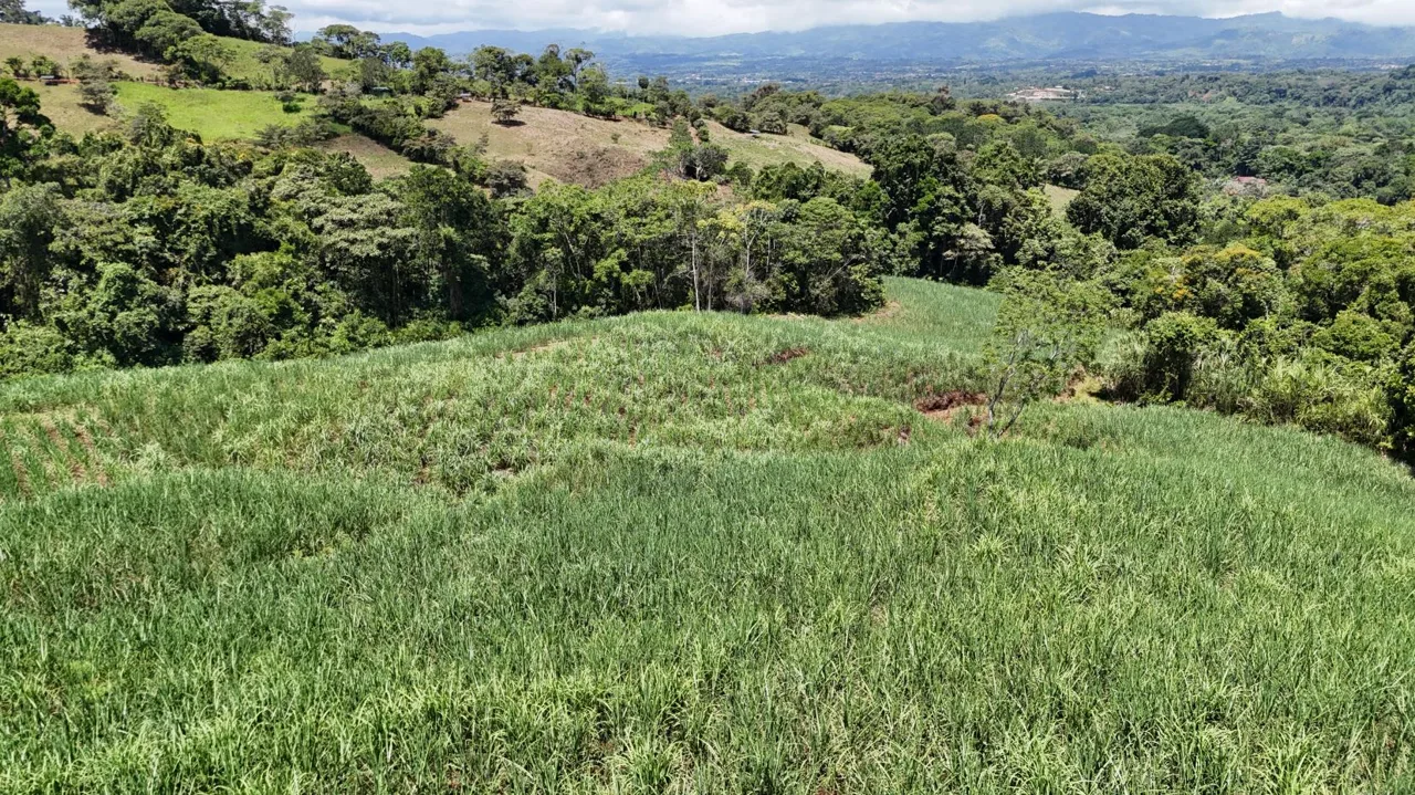For Sale - Mountainview 2.5 Ha In General Viejo — photo 3