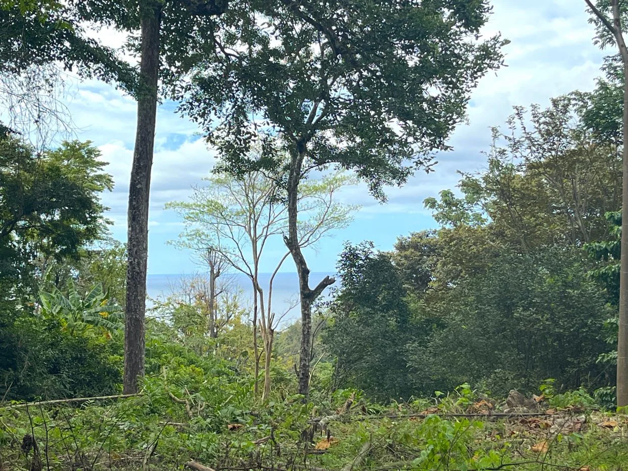 Build Your Dream Home: Prime Partial Ocean View Lot in Santa Teresa, Minutes from Beaches!