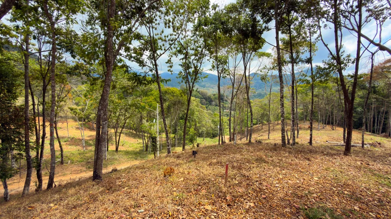 For Sale: Beautiful Mountain 1646m2 Residential Lot in Quebradas - CR — photo 4