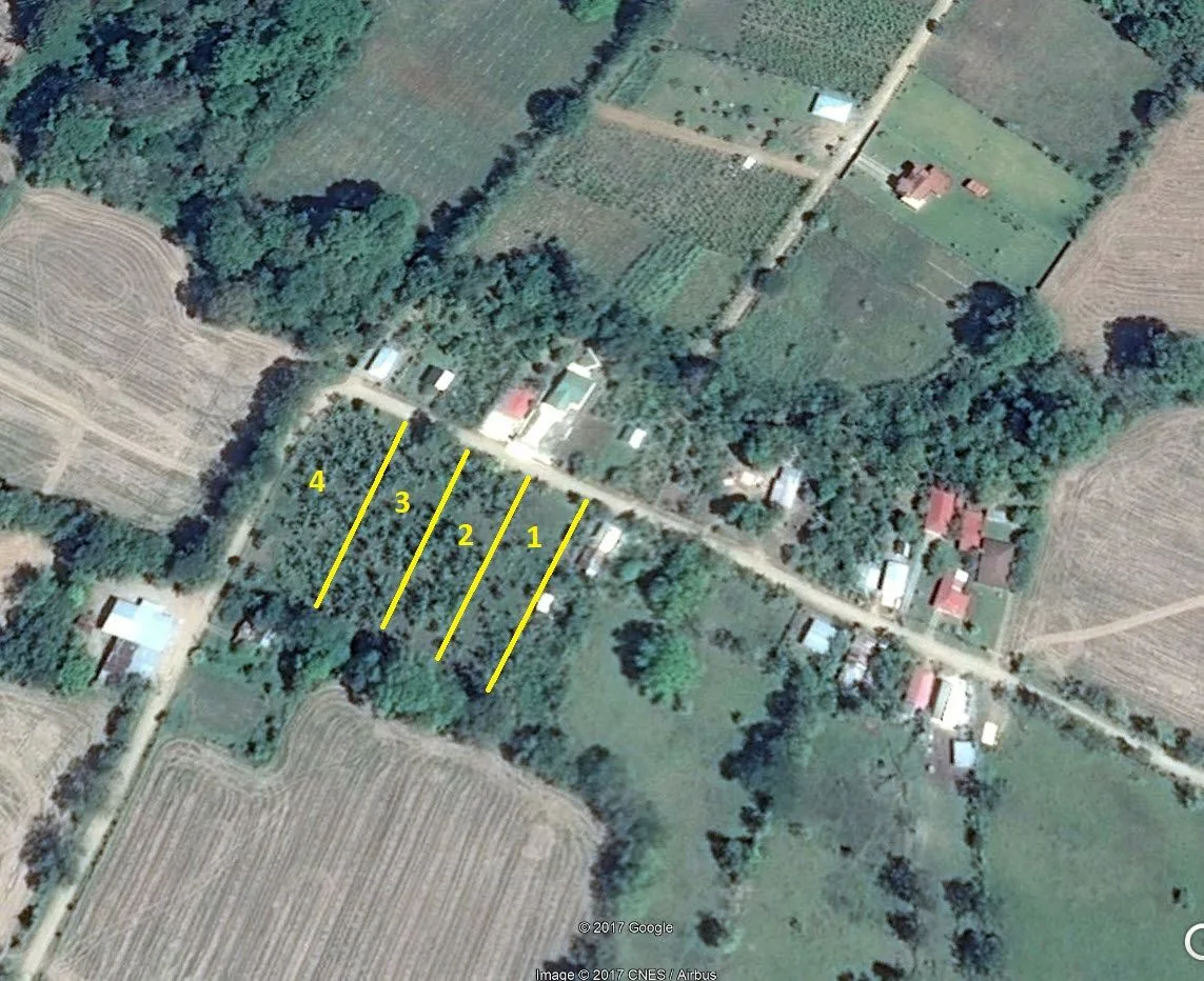 Ready-to-build flat lot in Cortez Lot 3
