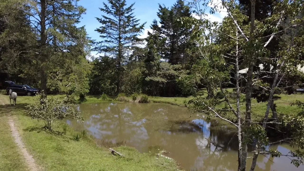 88.6 Acres Mountain Property in Costa Rica for sale for Just $610K