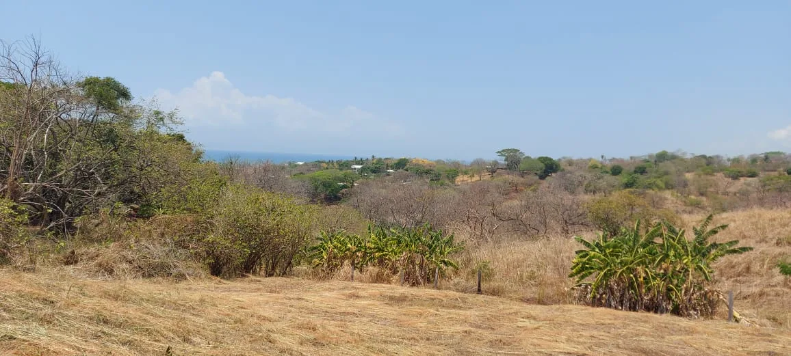 Beautiful land Ocean View