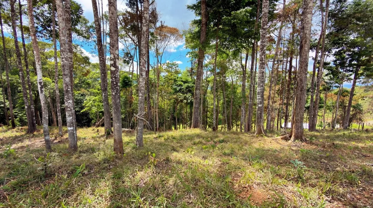 For Sale: Beautiful Mountain 730,06m2 Residential Lot in Quebradas - CR — photo 4