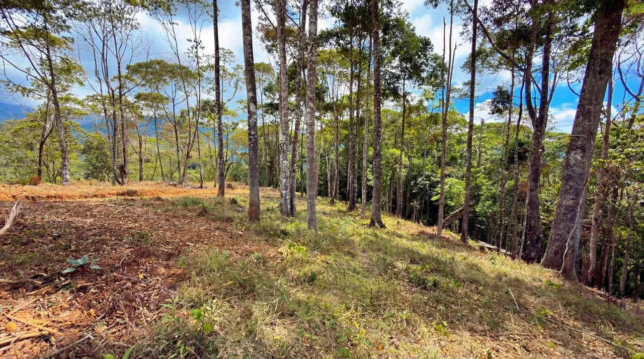 For Sale: Beautiful Mountain 730,06m2 Residential Lot in Quebradas - CR — photo 5