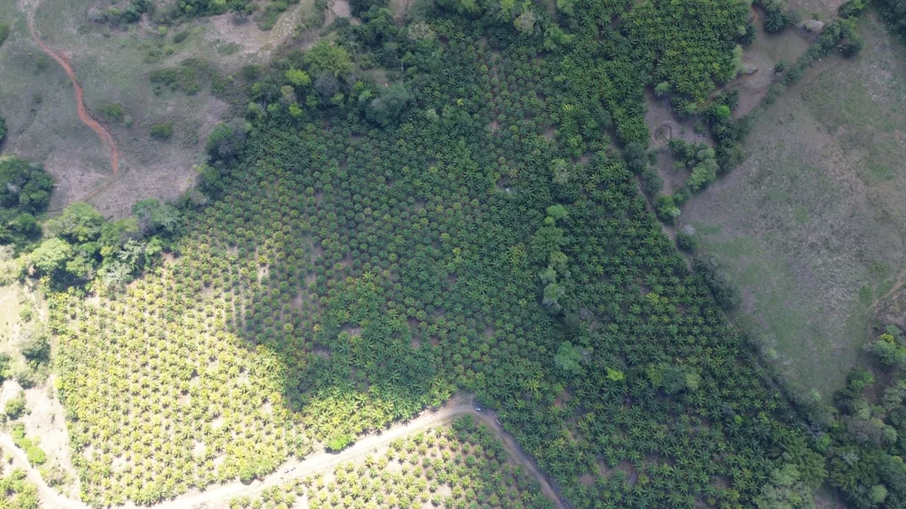 Farm for the development of a self-sustaining community.