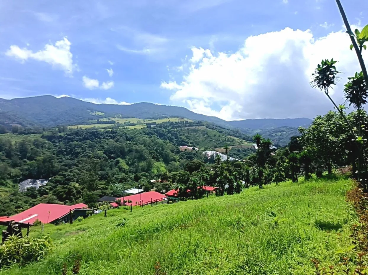Land For Sale, Trojas, Sarchí.