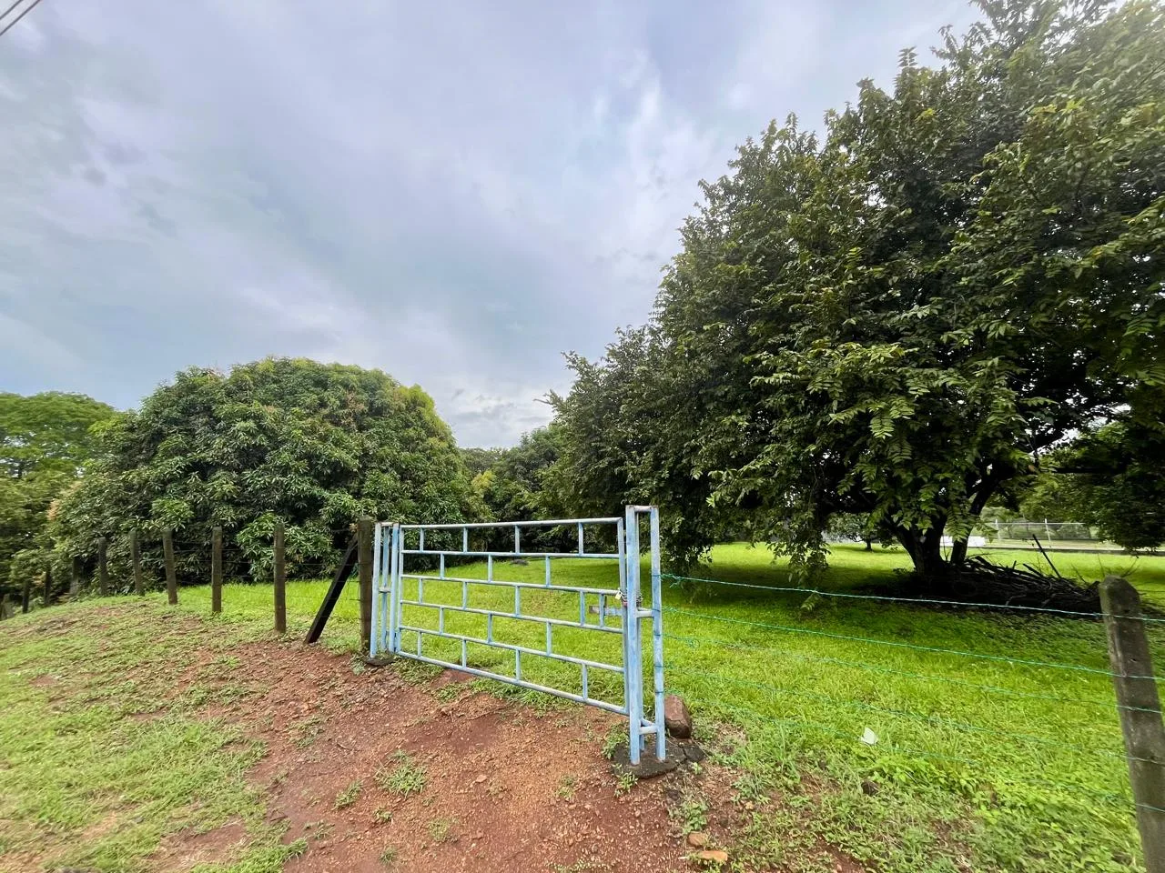Land for Sale in Orotina – Strategic Location near Route 27