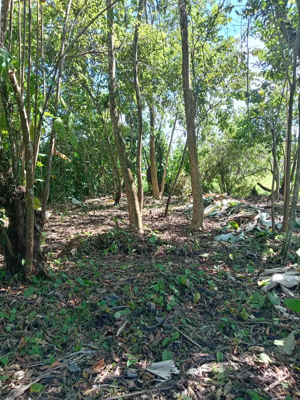 #3 Lot in the Coastal Zone, Steps Away from the Future Airport
