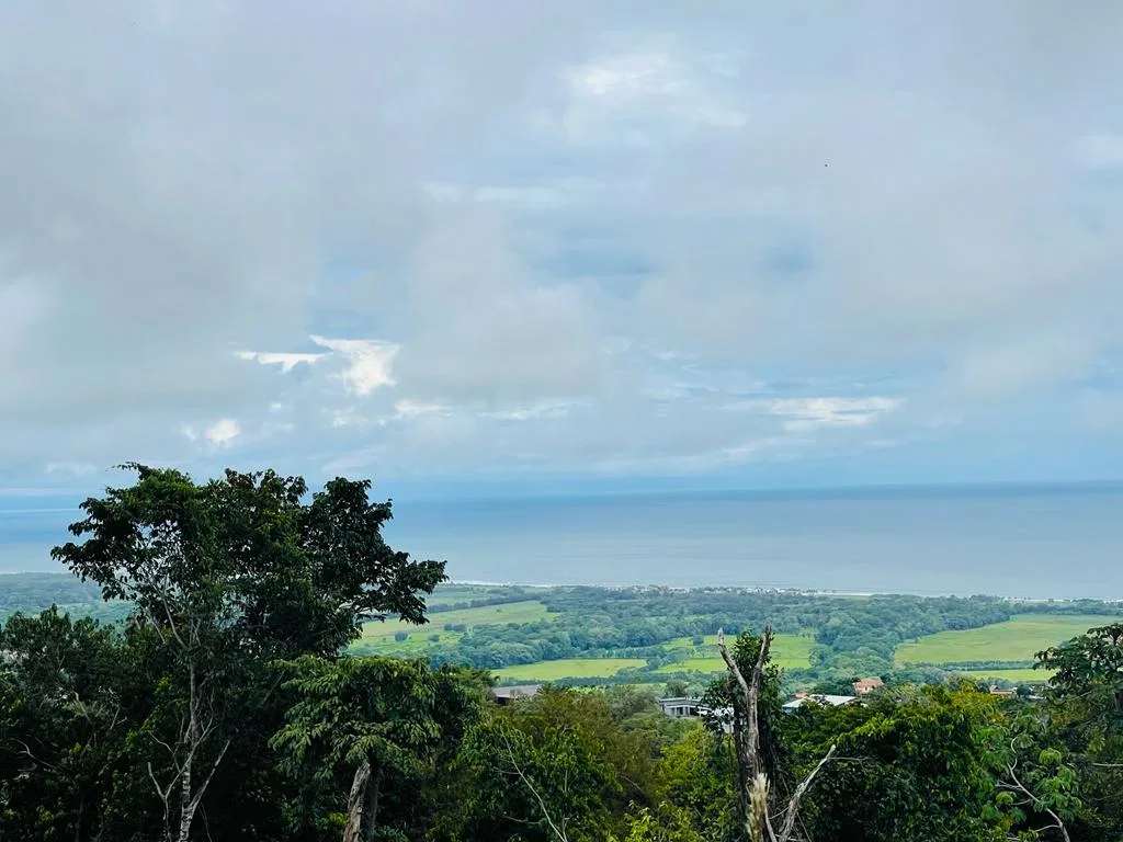 PARADISE FOR YOUR NEXT DEVELOPMENT.