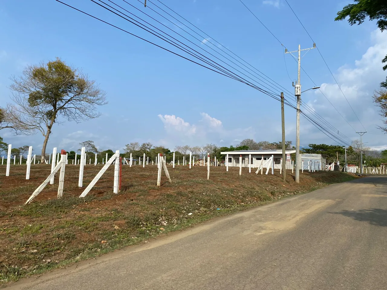 Independent lots in Lagunillas