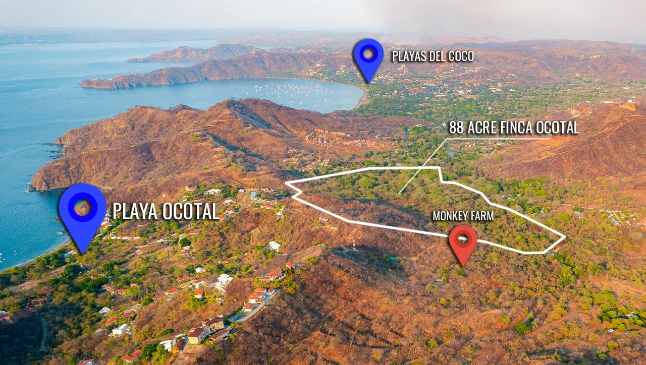 Expansive 88.4 Acre Ocean View Farm on the Main Road to Ocotal