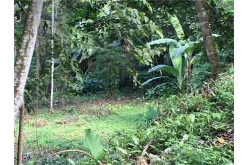 Large Parcel right in the middle of Herradura