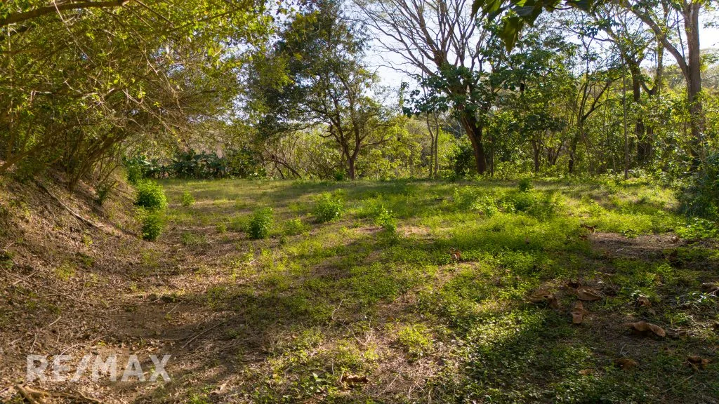 LOTE SAMARA WOODS 4