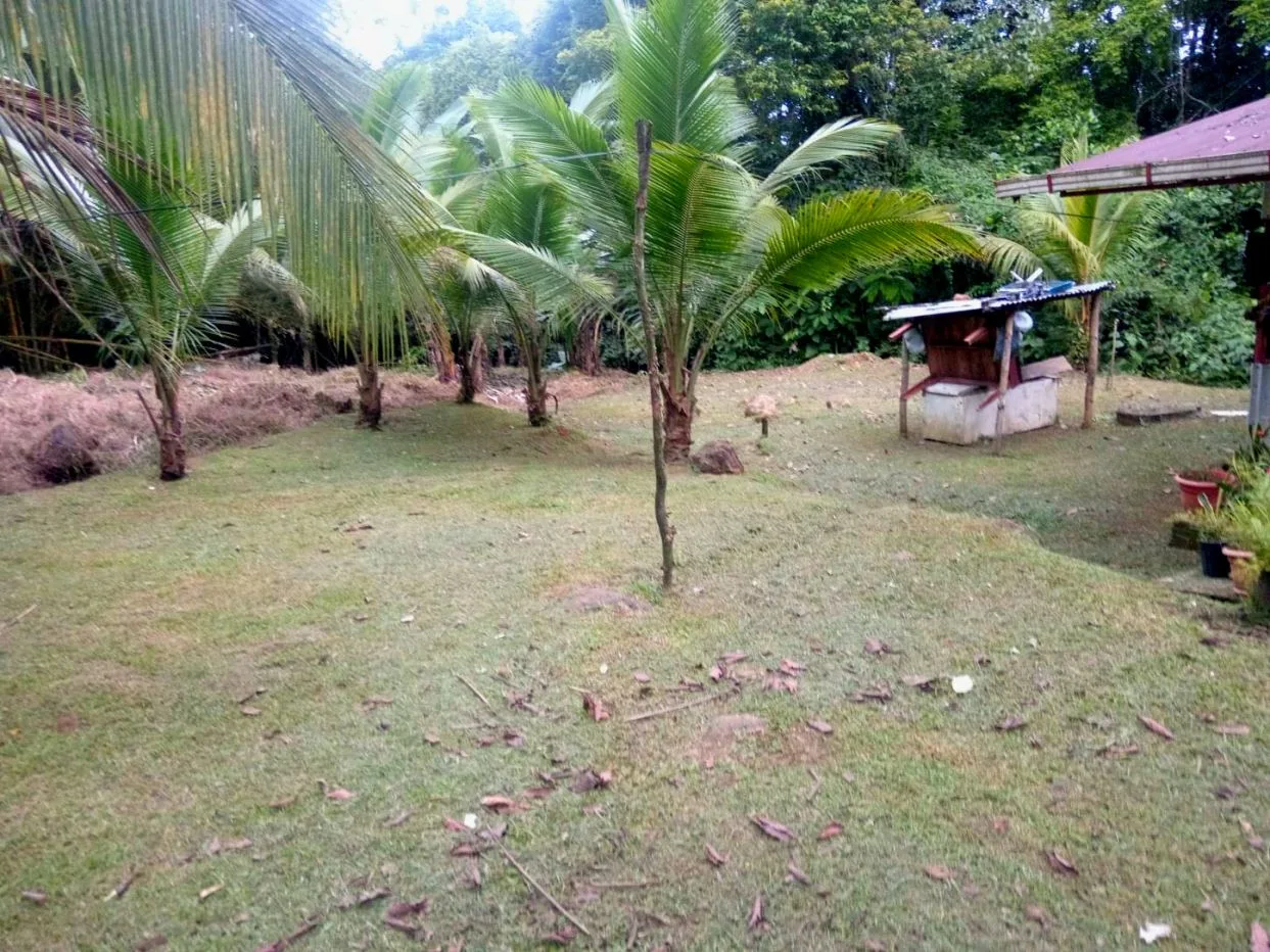 Riverfront Property with Expansion Potential Near La Fortuna – 2,918 m² + Additional 2,000 m² Usage Rights