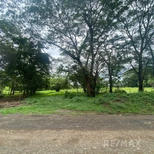 FOR SALE LOTS COYOLAR-OROTINA