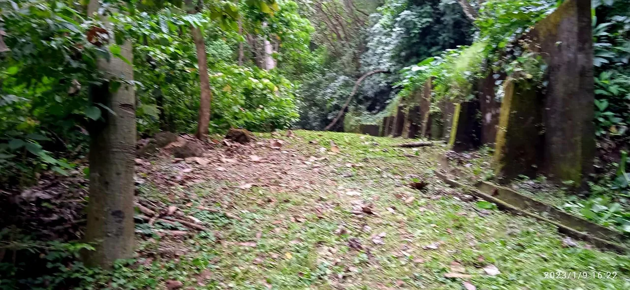 Beautiful Property in the heart of Manuel Antonio - 8990 mts2!!!!!!!