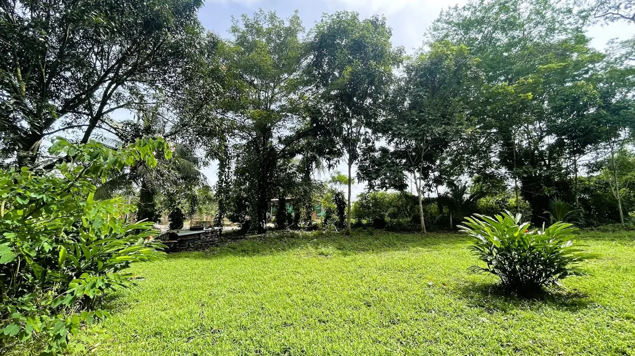 LOT FOR SALE IN CHACHAGUA, SAN RAMON