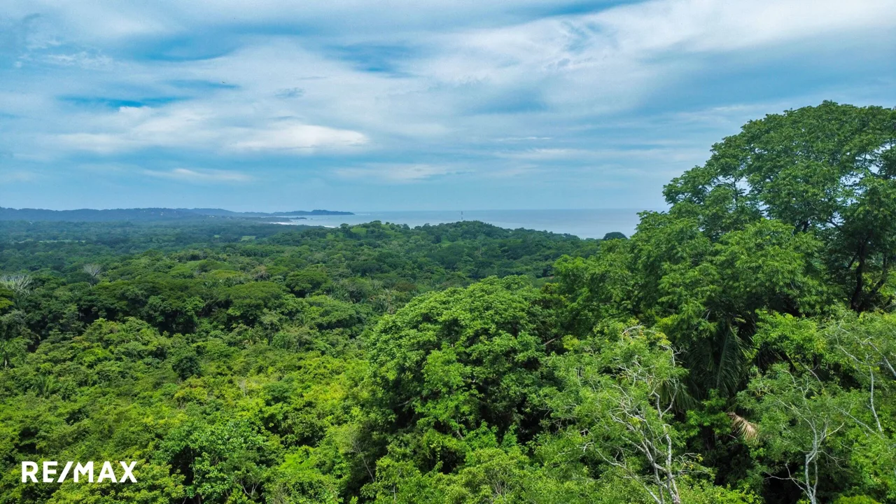 Development Opportunity in Ostional – 30 Acres with Ocean Views