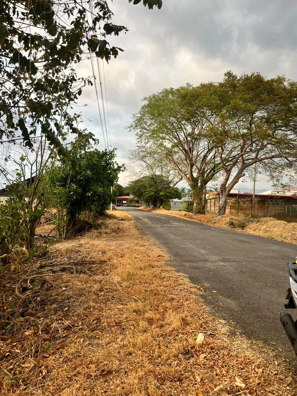 Lote en el Centro de Orotina