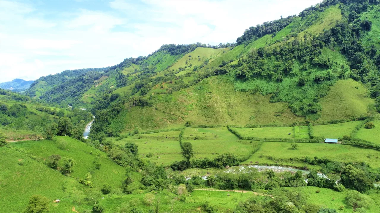 204 Acre Expansive and Remote Paradise!