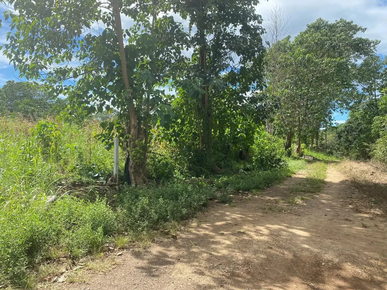 Land for Sale – Prime Investment Opportunity in Las Juntas Guanacaste