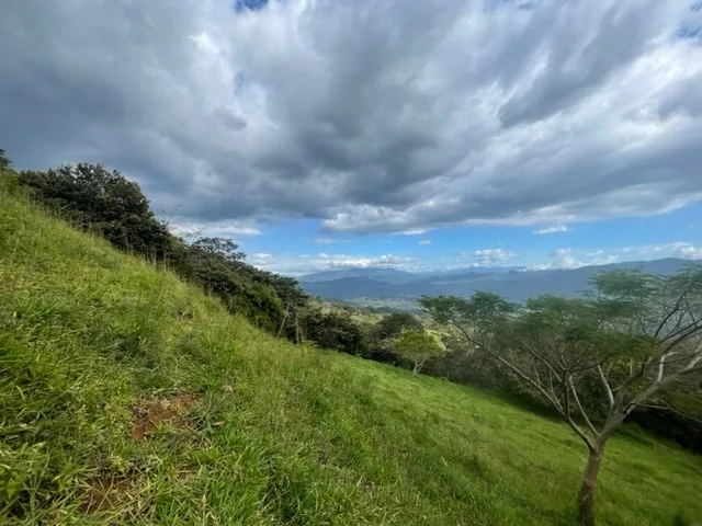 Ideal farm with amazing views for development - Guacimo, Atenas, Alajuela