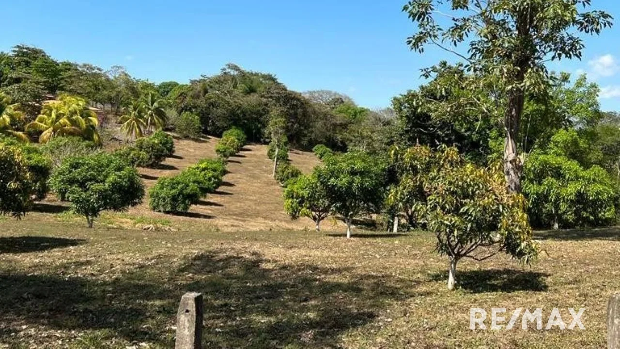 Beautiful Farm for sale