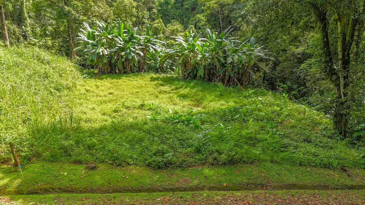 Large Jungle Lot for Sale in Ojochal Costa Rica
