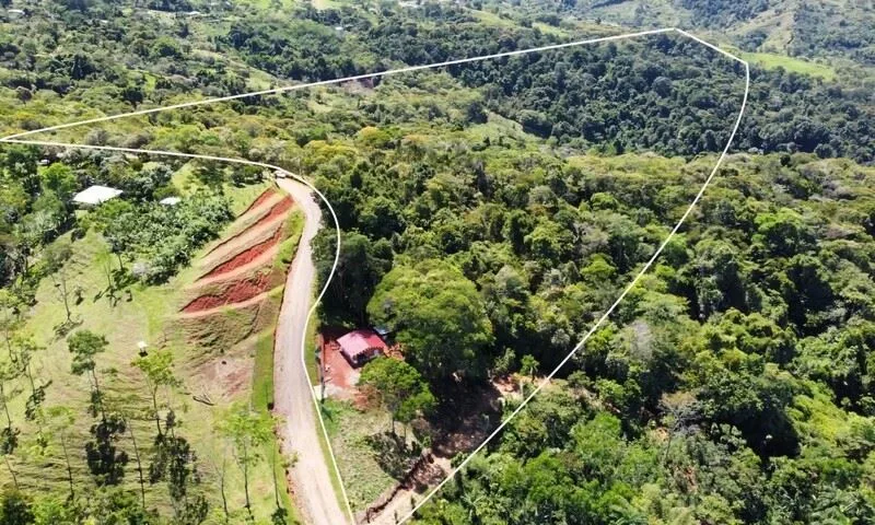 Stunning Land for Sale in La Linda Arriba, General Viejo, Costa Rica – Nature, Privacy, and Potential