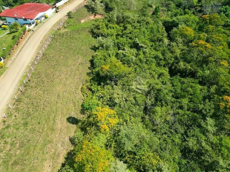 Stunning Land for Sale in La Linda Arriba, General Viejo, Costa Rica – Nature, Privacy, and Potential — photo 2