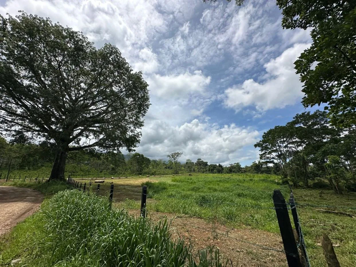 Fantastic Lots for sale in Quizarra Perez Zeledon — photo 2