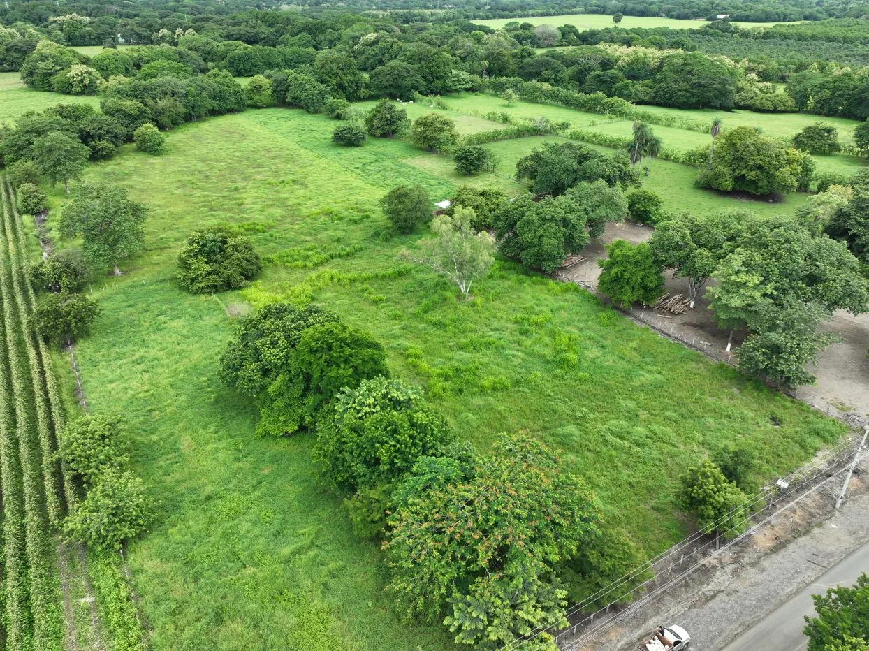 Prime 2.1 Hectare Flat Lot with Road Access in Santa Rita, Nandayure