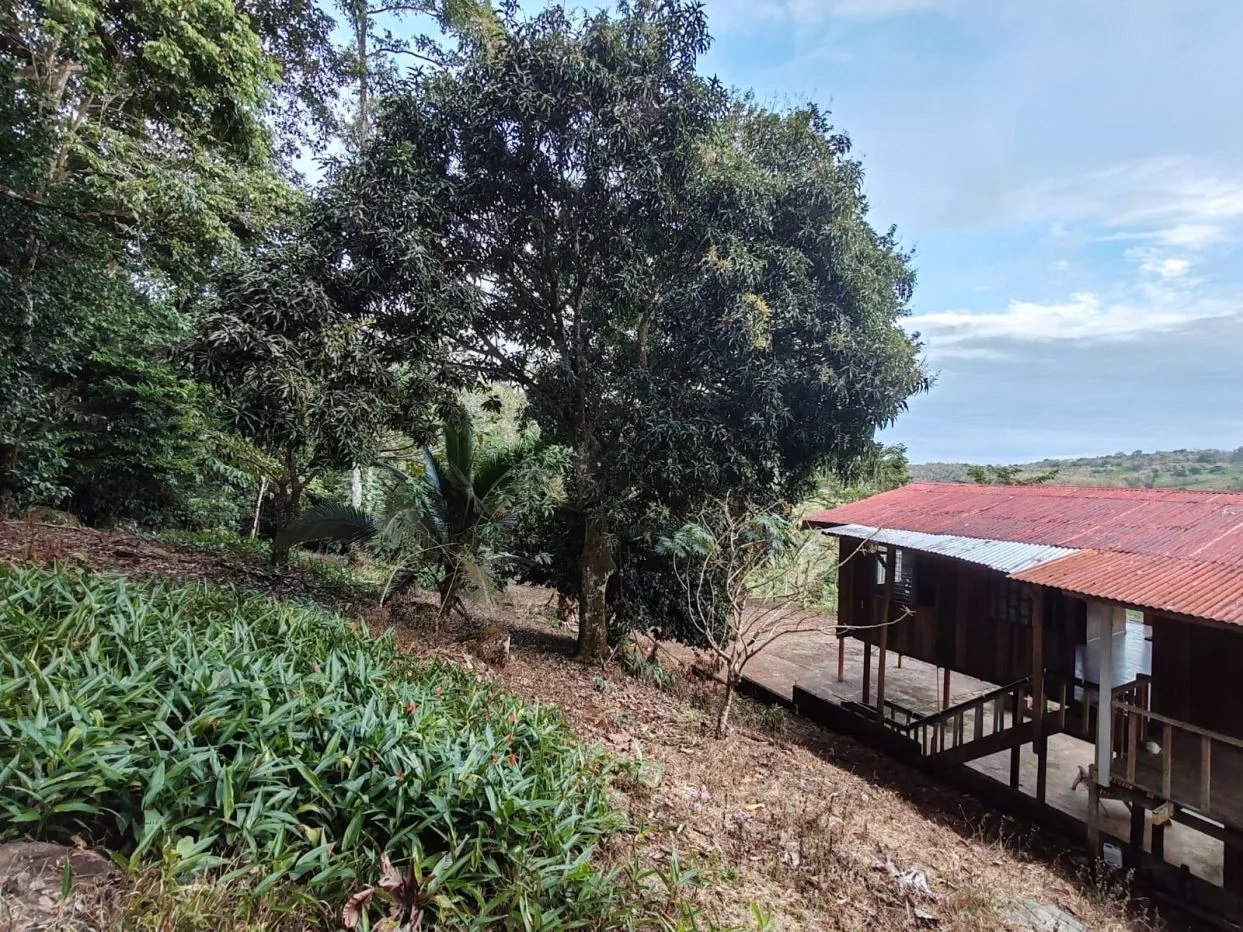Private Hilltop Property in Upala with Panoramic Views