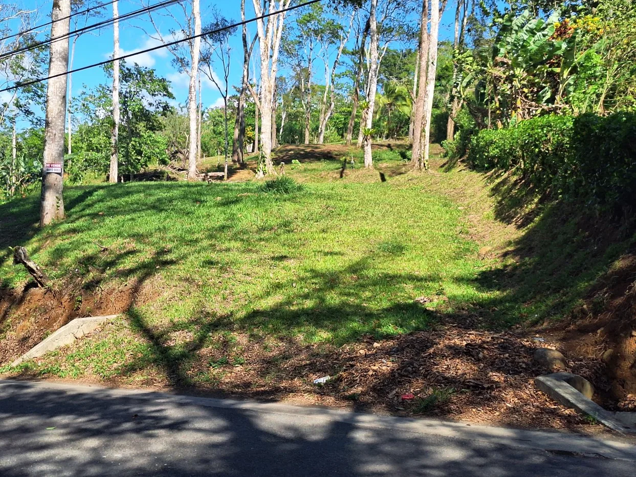 Land for sale, Bajo Rodriguez San Ramon