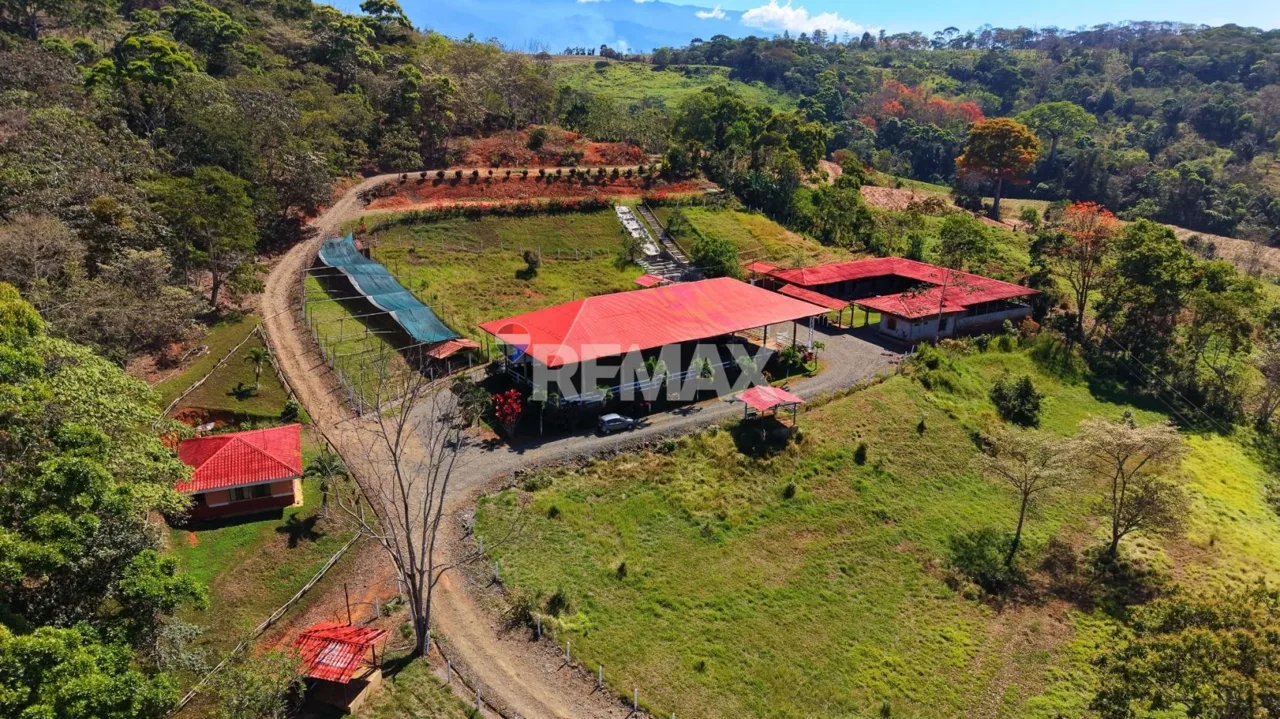 Ranch for Sale: Ready to Own Your Slice of Costa Rica?
