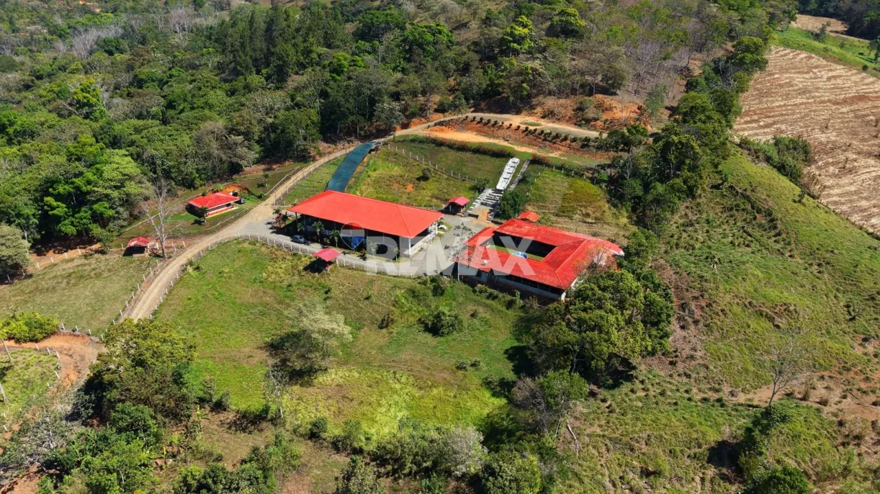 Ranch for Sale: Ready to Own Your Slice of Costa Rica? — photo 2