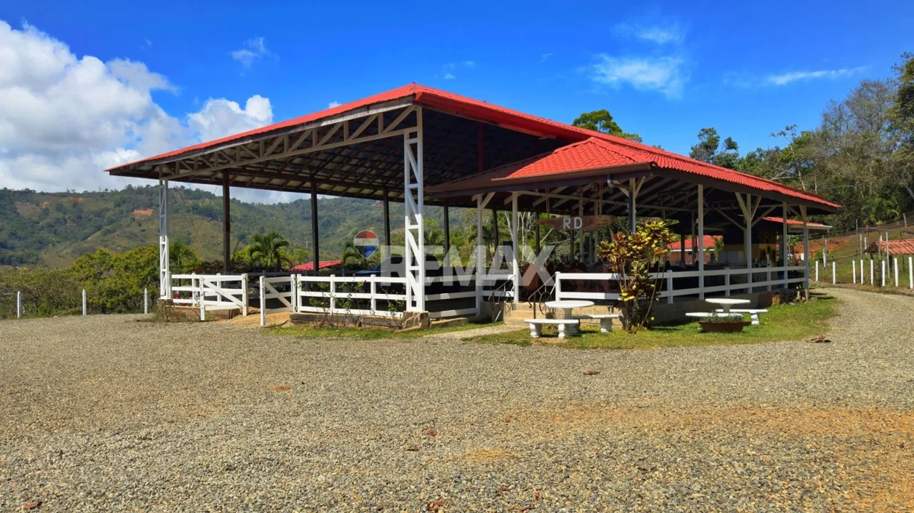 Ranch for Sale: Ready to Own Your Slice of Costa Rica? — photo 4