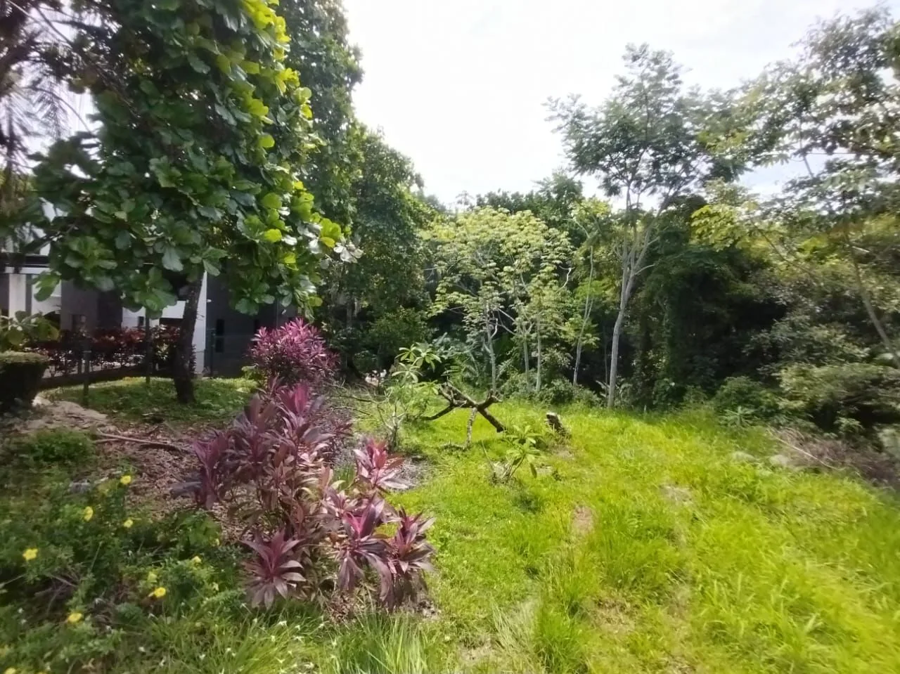 Great Opportunity 2300 Square Meters Lot- Near the Beach and Costa Esterillos