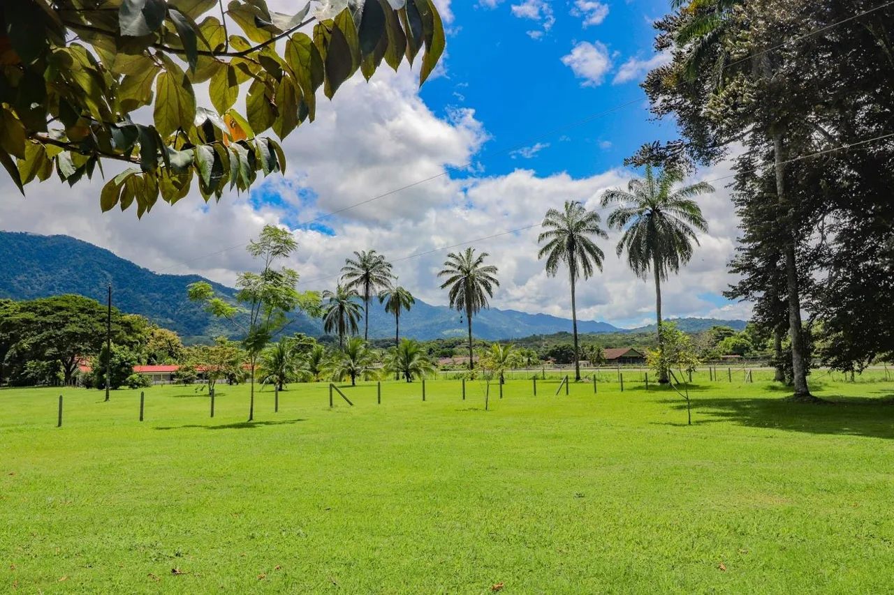 3.7 Acre Airport-Adjacent Lot w/ Runway Access &amp; Views
